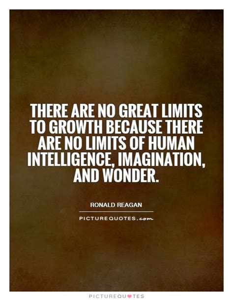 There Are No Great Limits To Growth Because There Are No Limits