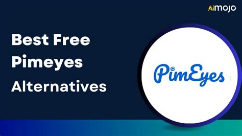 12 Pimeyes Free Alternatives For 2024 Comparison
