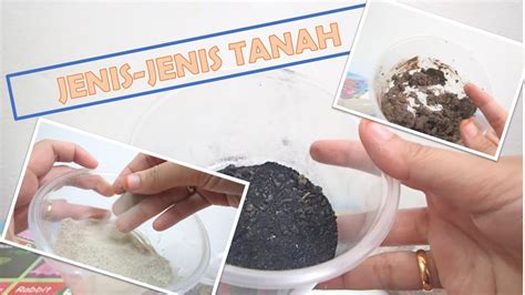 Sampai 3 bulan sebesar 50% dari retribusi yang berlaku. Sains Tahun 1 || Jenis-jenis Tanah || - YouTube