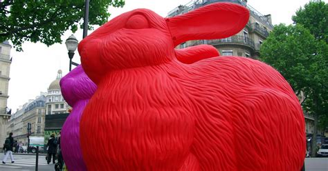 Parisdailyphoto Rabbits Invaded Paris