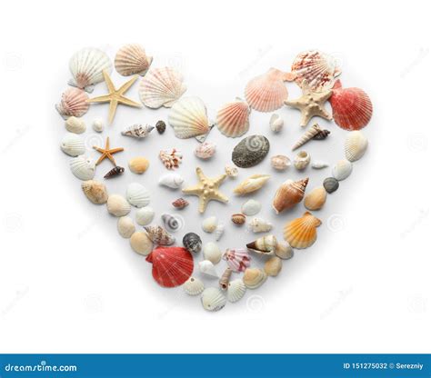 Heart Made Of Different Sea Shells On White Background Stock Photo