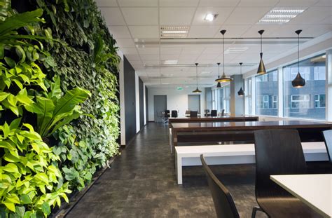Creating A Green Office Environment Shoplet