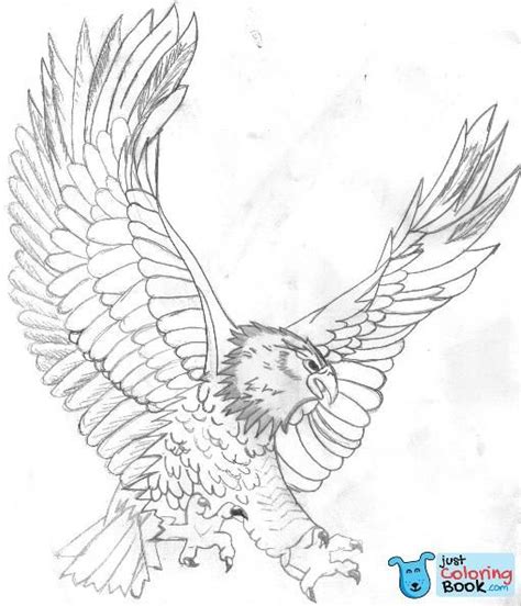 The easily printable free bald eagles coloring sheets are fun and educative at once, depicting them in flight as well as in their hunting actions and natural habitats. Free Printable Bald Eagle Coloring Pages For Kids For ...