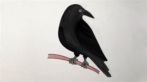 Simple Raven Drawing