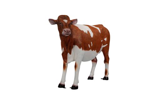life size guernsey cow event décor and prop rental