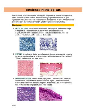 Generalidades del tejido epitelial definición características etc