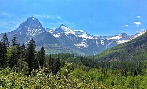 Guided Hikes And Tours Glacier National Park