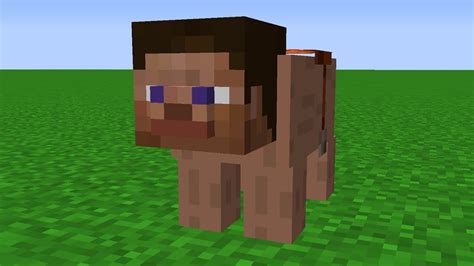 Minecraft Cursed Images 03 Steve Youtube