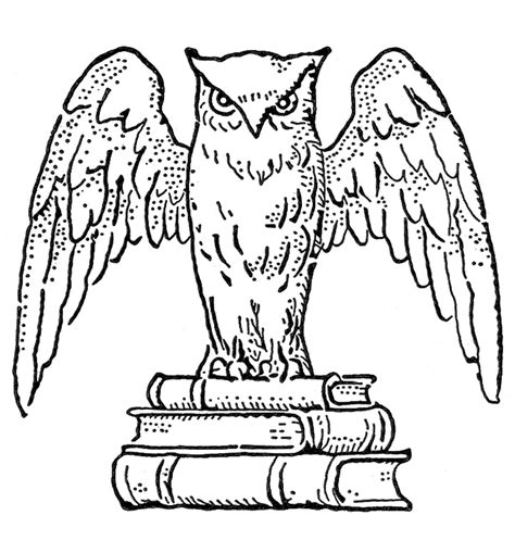 Vintage Clip Art Interesting Owl With Books The Graphics Fairy