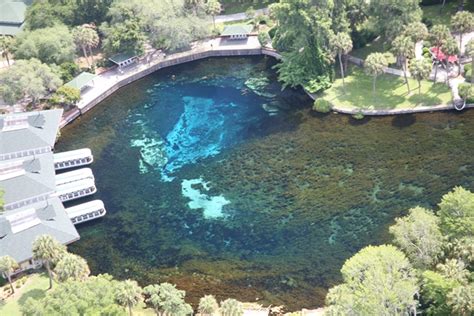 Floridas Special Places Silver Springs In Ocala Audubon Florida