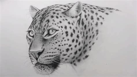 Https://wstravely.com/draw/easy How To Draw A Realistic Leopard