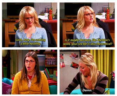 Damn Big Bang Theory Tv Quotes Movie Quotes Big Bang Theory The Big