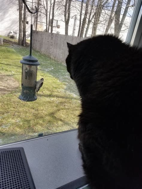 Able pest control with engineers covering new southgate are part of the award winning company the able group. Bookkeeping Solutions of Traverse City - Home | Facebook