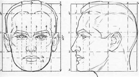 The Standard Head Drawing The Head And Hands Joshua Nava Arts