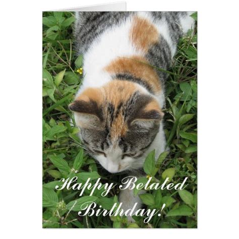 Printout Downloads For Happy Birthday Calico Cat 2023