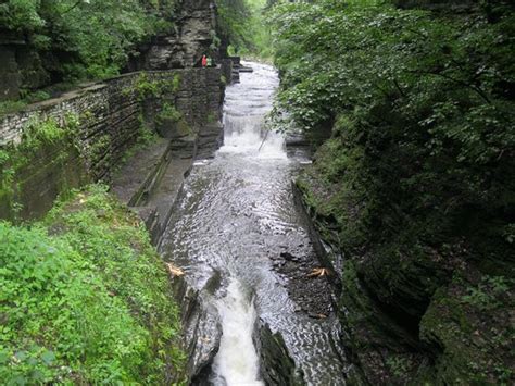 Dogs are also permitted in some camping sites and cabins. Robert Treman State Park (Ithaca) - 2020 All You Need to ...