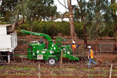 Shop for the latest fashion clothing and trends for women's, men's and kids' at river island. Riverland High Works - Tree & Stump Removal Services - Barmera
