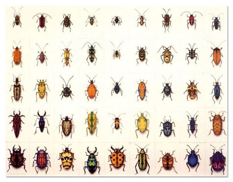 Do the mystery bugs crunch when you squash them? Charlie Baird - Paintings - Bugs 2000 | Bichos