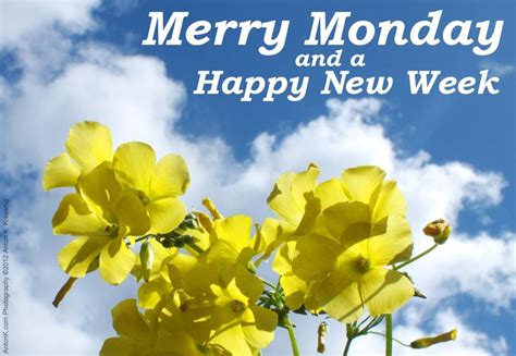 Merry Monday And A Happy New Week Morning Quotes