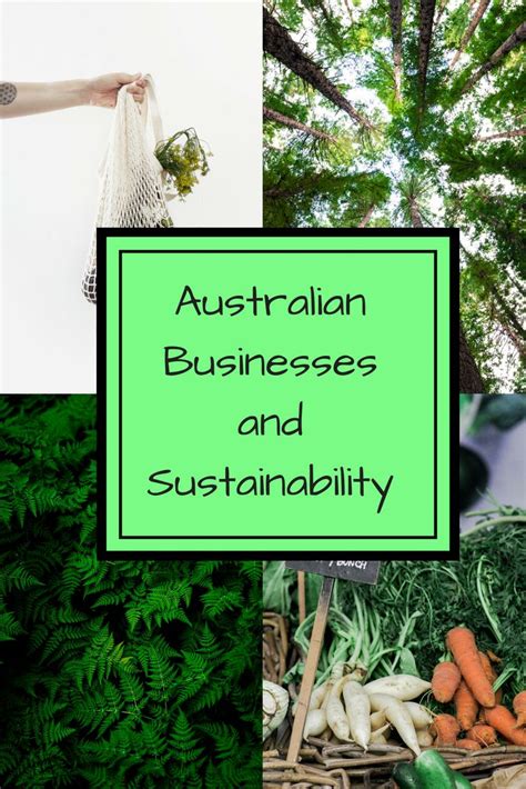 Keep Your Eyes Peeled For Our Next Blog On Sustainability And