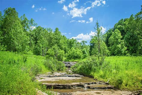 Summer Stream Photograph By Brent Tindall Fine Art America