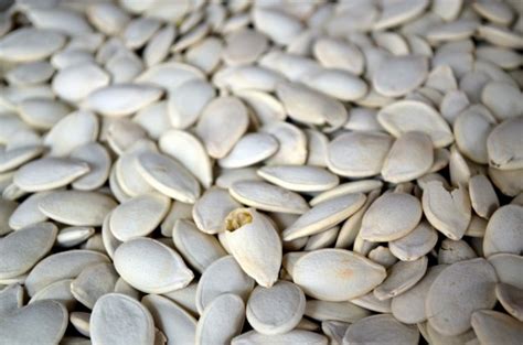 Pumpkin Seeds Free Stock Photo Public Domain Pictures