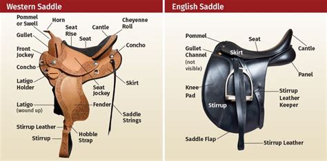 The Parts Of A Saddle And How They Are Used