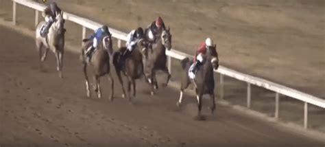 Horse Beating Jockey Ramon Vazquez Strikes Again Peta