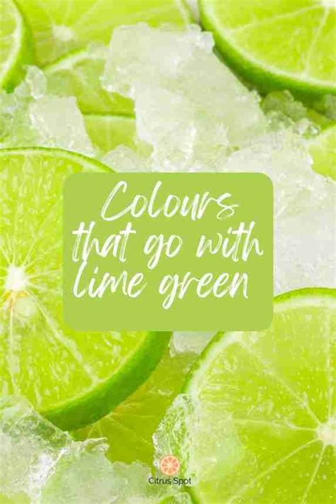 What Colours Go With Lime Green Beautiful Combinations