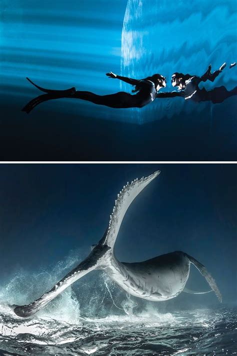 Incredible Winners Of Scuba Diving Magazines Underwater Photo Contest