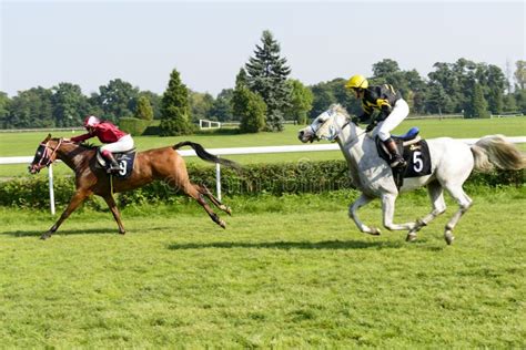 Race Horses On The Partynice Track Editorial Stock Image Image Of