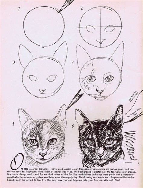 When you're done following along with us, try drawing another cat. How to draw a cat - Dieren tekenen, Dier schetsen en ...