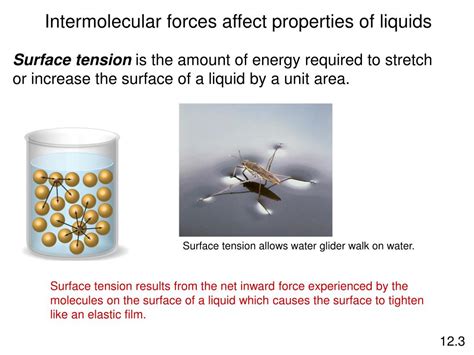 Ppt Intermolecular Forces And Liquids And Solids Powerpoint