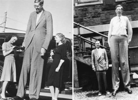 Tallest Man On Tumblr