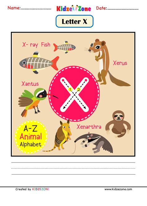 kindergarten letter x animal picture cards worksheet