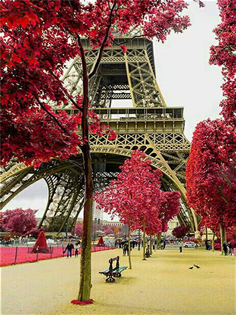Eiffel Tower Paint By Number Kit For Adults Eiffel Tower Etsy