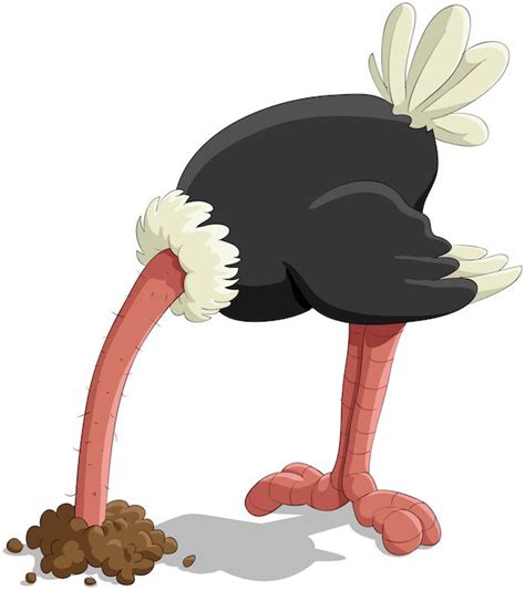 Is Your Thyroid Affecting Your Credibility Ostrich Ostrich Head In