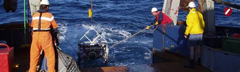 Supporting Science And Partnerships In Australian Marine Parks