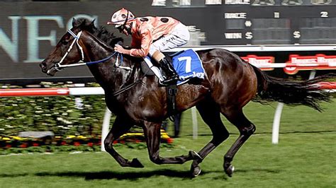 The schillaci stakes is a group 2 race run under weight for age conditions for sprinters at caulfield conducted by the melbourne racing club. Black Caviar attempts to equal Phar Lap's winning streak ...