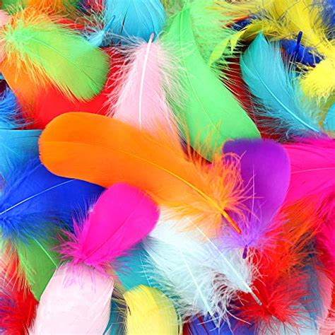 450 Pcs Feathers Colorful Feathers Crafts For Diy Craft Wedding Home