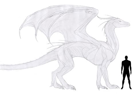 We did not find results for: Dragon Reference sheet WIP by anonymous-Dragon on DeviantArt