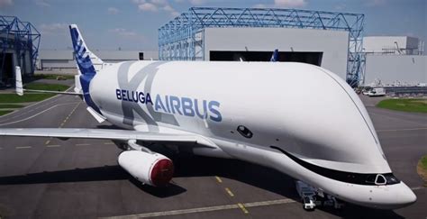 Airbus Beluga Xl Takes To The Skies After Easa Certification