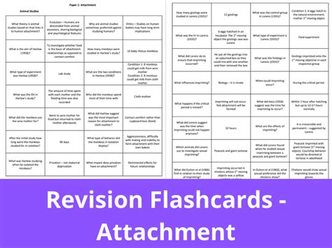 Attachment Mini Revision Flashcards Aqa A Level Psychology Teaching
