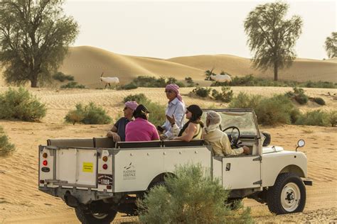 Great Experience Overnight Desert Safari Dubai Emirates4you Tour