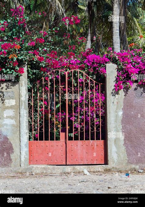 Senegal Africa Feb 2019 Gate To The Garden With Plenty Of Colorful