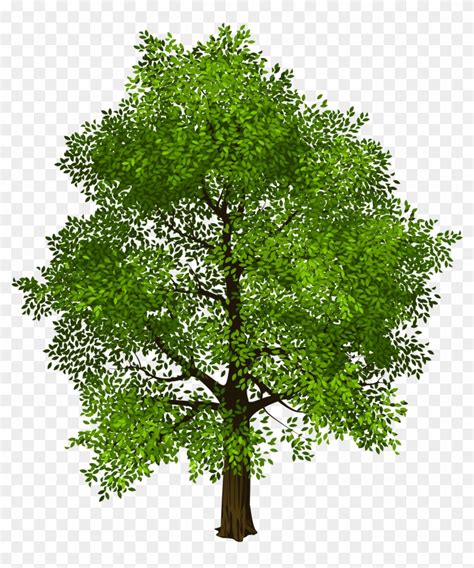 Transparent Green Tree Png Picture Transparent Background Trees Png