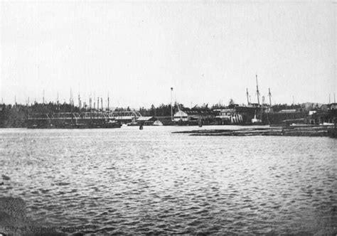 Point Ellice Bridge With Sealing Fleet City Of Victoria Archives