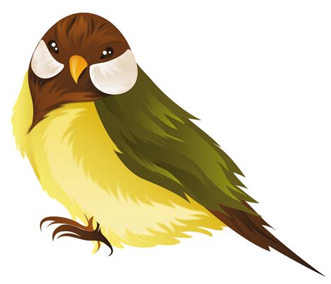 Bird Clipart Png Image 20 Free Cliparts Download Images On Clipground 2024
