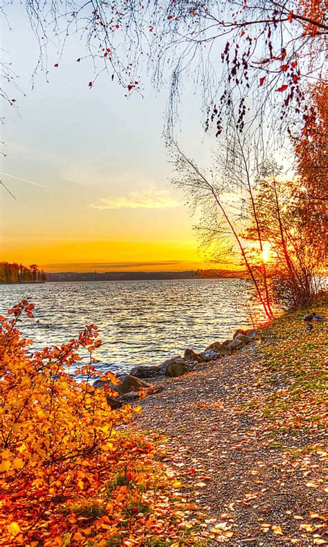 Fall And Thanksgiving Autumn Trees By River Mobile Wallpaper Autumn