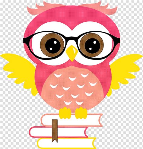 Teacher Owl Bird Barn Owl Little Owl Barred Owl Eastern Screech